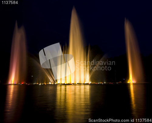 Image of Water show