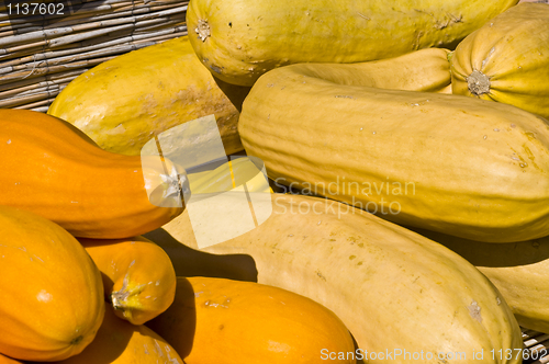 Image of Pumpkins