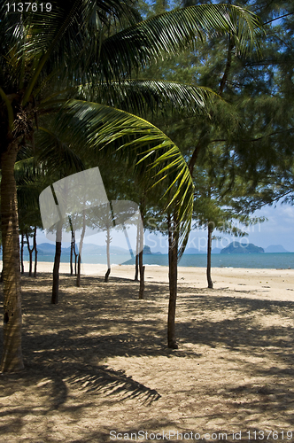 Image of Thai Beach