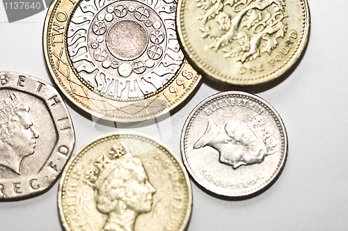 Image of Pounds