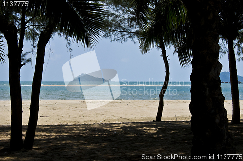 Image of Thai Beach