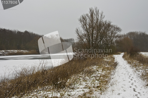 Image of Winter landscape