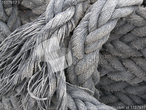 Image of Rope