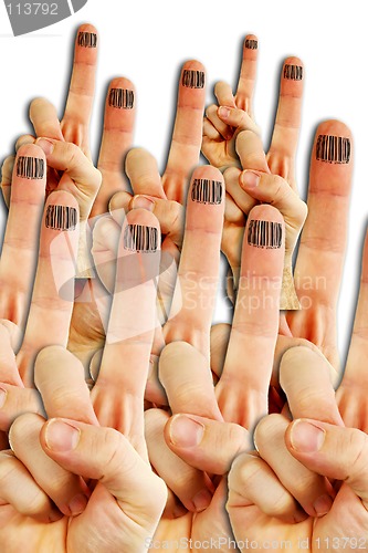 Image of Cloned Fingers