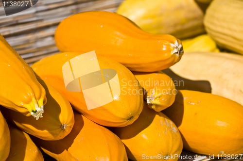 Image of Pumpkins