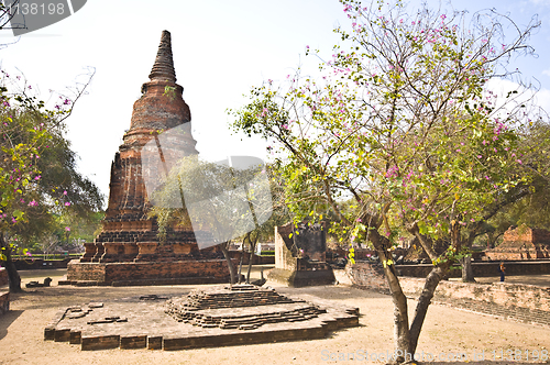 Image of Wang Luang