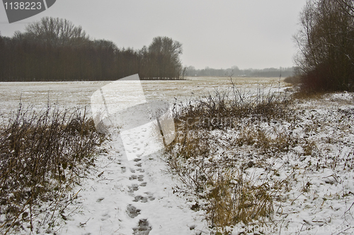 Image of Winter landscape