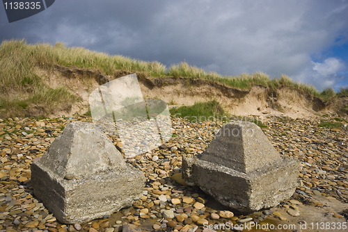 Image of Dragon's teeth 