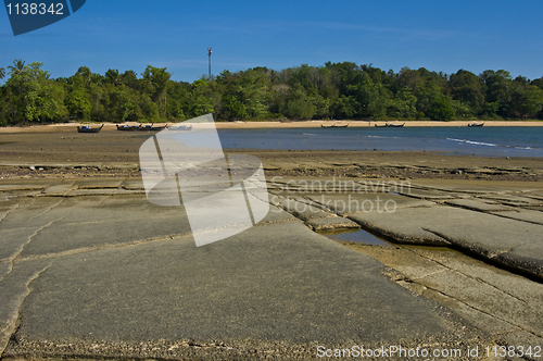 Image of Susan Hoi Shell Fossil Beach Cemetery