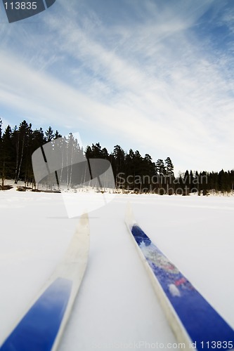 Image of Skiing