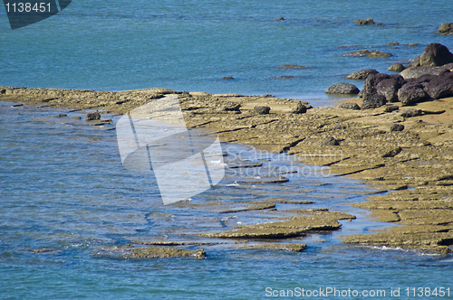 Image of Susan Hoi Shell Fossil Beach Cemetery