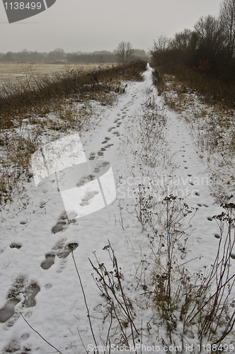 Image of Winter landscape