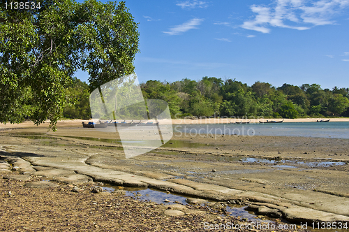 Image of Susan Hoi Shell Fossil Beach Cemetery