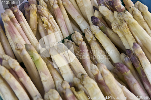 Image of Asparagus