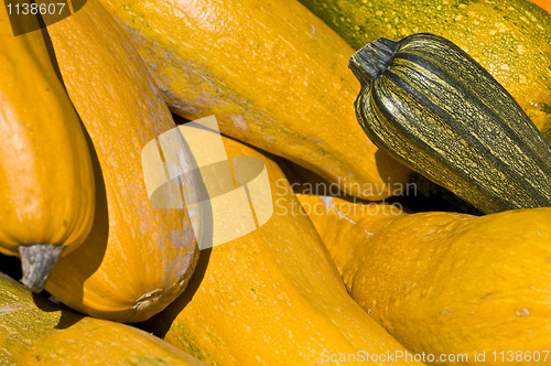 Image of Pumpkins