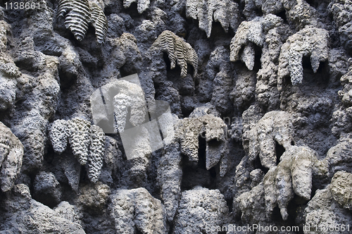 Image of Wall of stalactites