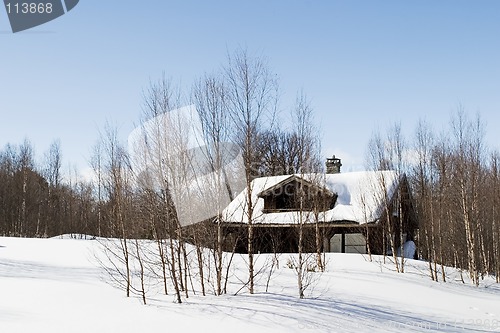 Image of Winter Forest Cabin