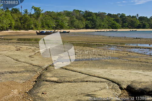 Image of Susan Hoi Shell Fossil Beach Cemetery