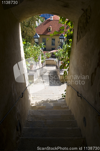 Image of Castle garden