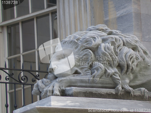 Image of Sleeping lion