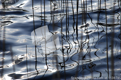 Image of Water impressions