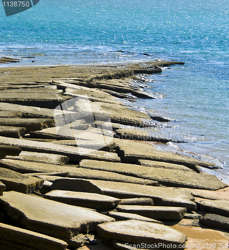 Image of Susan Hoi Shell Fossil Beach Cemetery