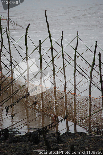 Image of Waiting for the big catch