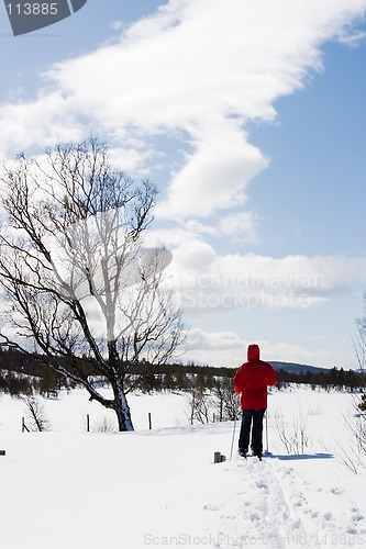 Image of Cross Country Landscape