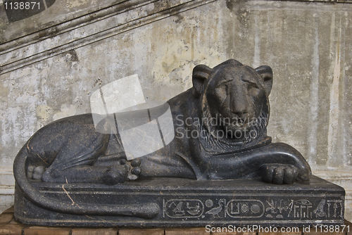 Image of Musei Vaticani