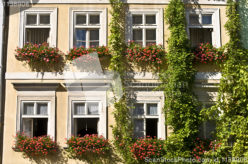 Image of Old palaces in Prague