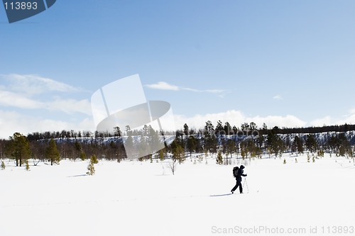 Image of Cross Country Landscape