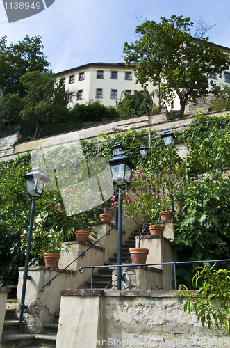 Image of Castle garden