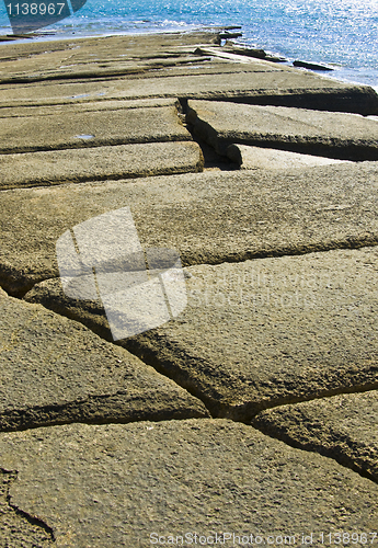 Image of Susan Hoi Shell Fossil Beach Cemetery