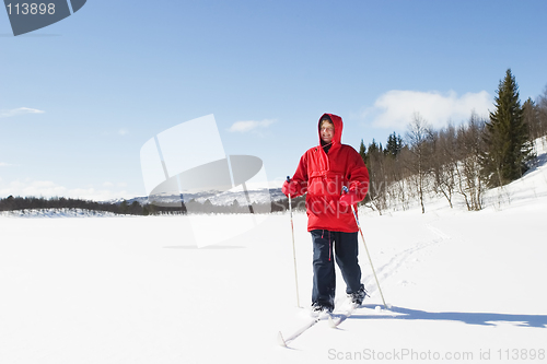 Image of Cross Country Landscape