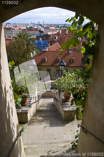 Image of Castle garden