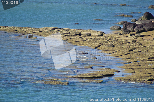 Image of Susan Hoi Shell Fossil Beach Cemetery