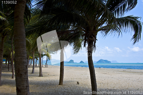 Image of Thai Beach