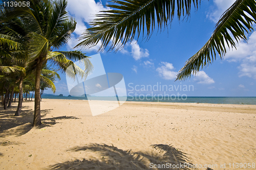 Image of Thai Beach