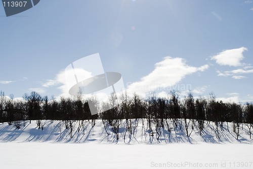 Image of Frozen Lake Landscape