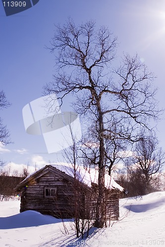 Image of Winter Cabin