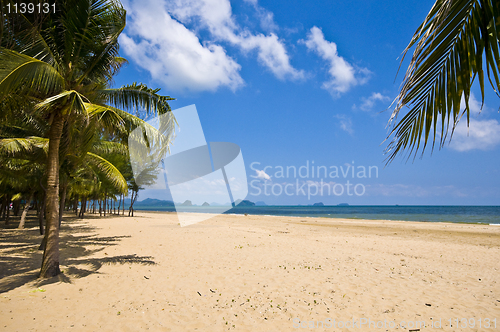 Image of Thai Beach