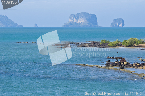 Image of Susan Hoi Shell Fossil Beach Cemetery