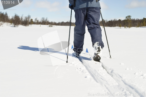 Image of Cross Country Landscape