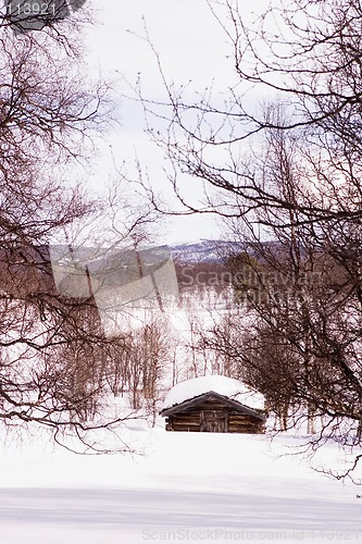 Image of Barren Landscape