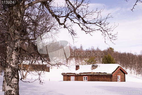 Image of Barren Landscape