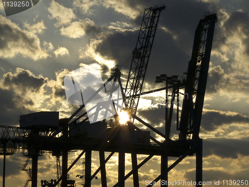 Image of Cranes at sunset