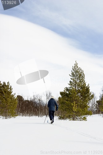 Image of Cross Country Skiing