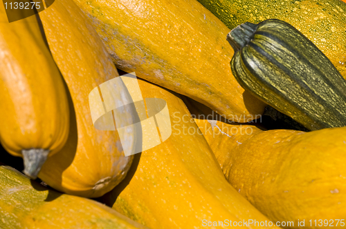 Image of Pumpkins