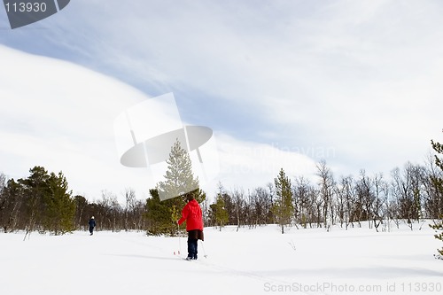 Image of Cross Country Skiing