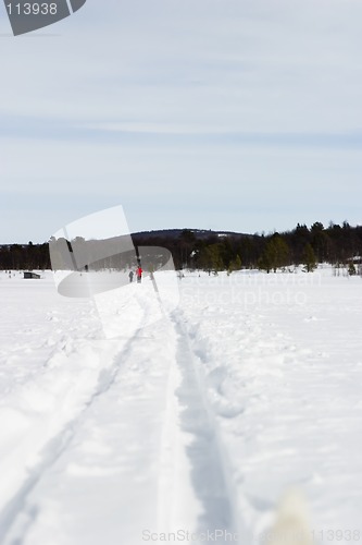 Image of Cross Country Skiing